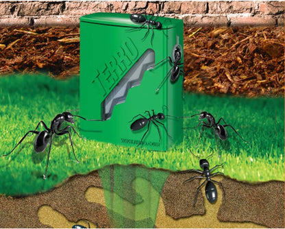 Terro T1812 Outdoor Liquid Ant Killer Bait Stakes - 8 Count (0.25 oz each) (2 Pack)