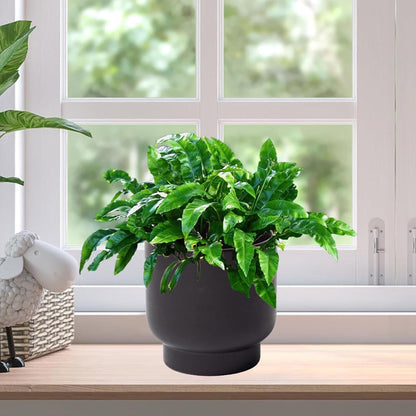 LB Black Ceramic Plant Pot for Indoor Plants, Succulent Planters Ceramic Plant Pots, Modern Flower