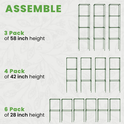 Tomato Cage Square - Large Trellis Stakes and Plant Support Structures for Vegetables and Climbing