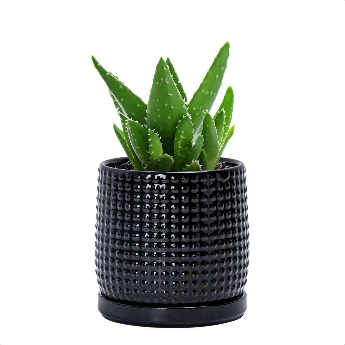 D'vine Dev 4 Inch Ceramic Beaded Stoneware Planter Pot - Flower Pot with Drainage Holes and Saucers