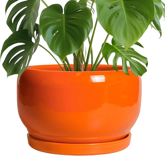 SQOWL Ceramic Planter - 10 Inch Plant Pot with Drainage Hole and Saucer, Round Modern Planter for