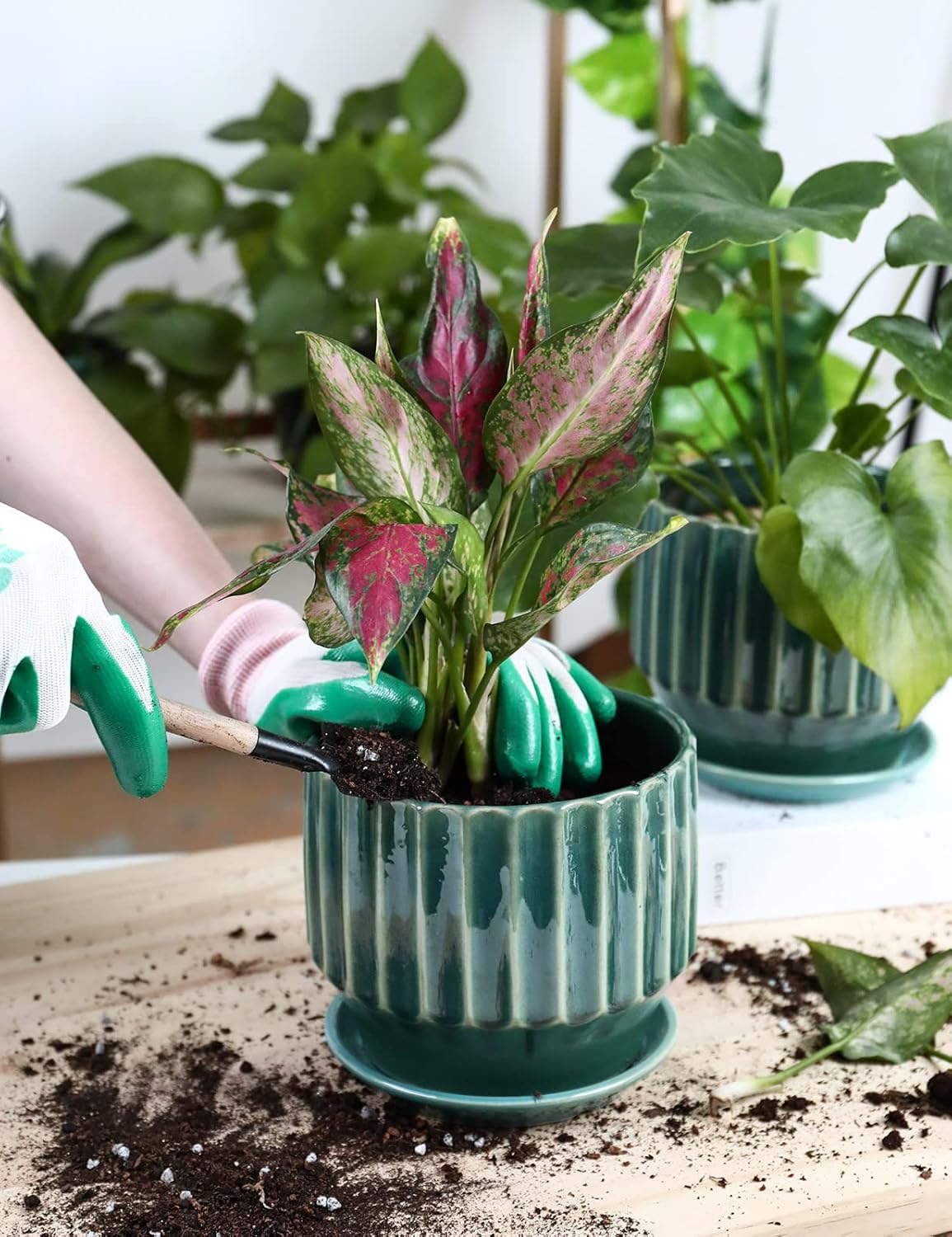 AISBUGUR Plant Pots 6 inch Ceramic Pots for Indoor Plants Set of 2 Flower Pots Unique Crackle Glaze