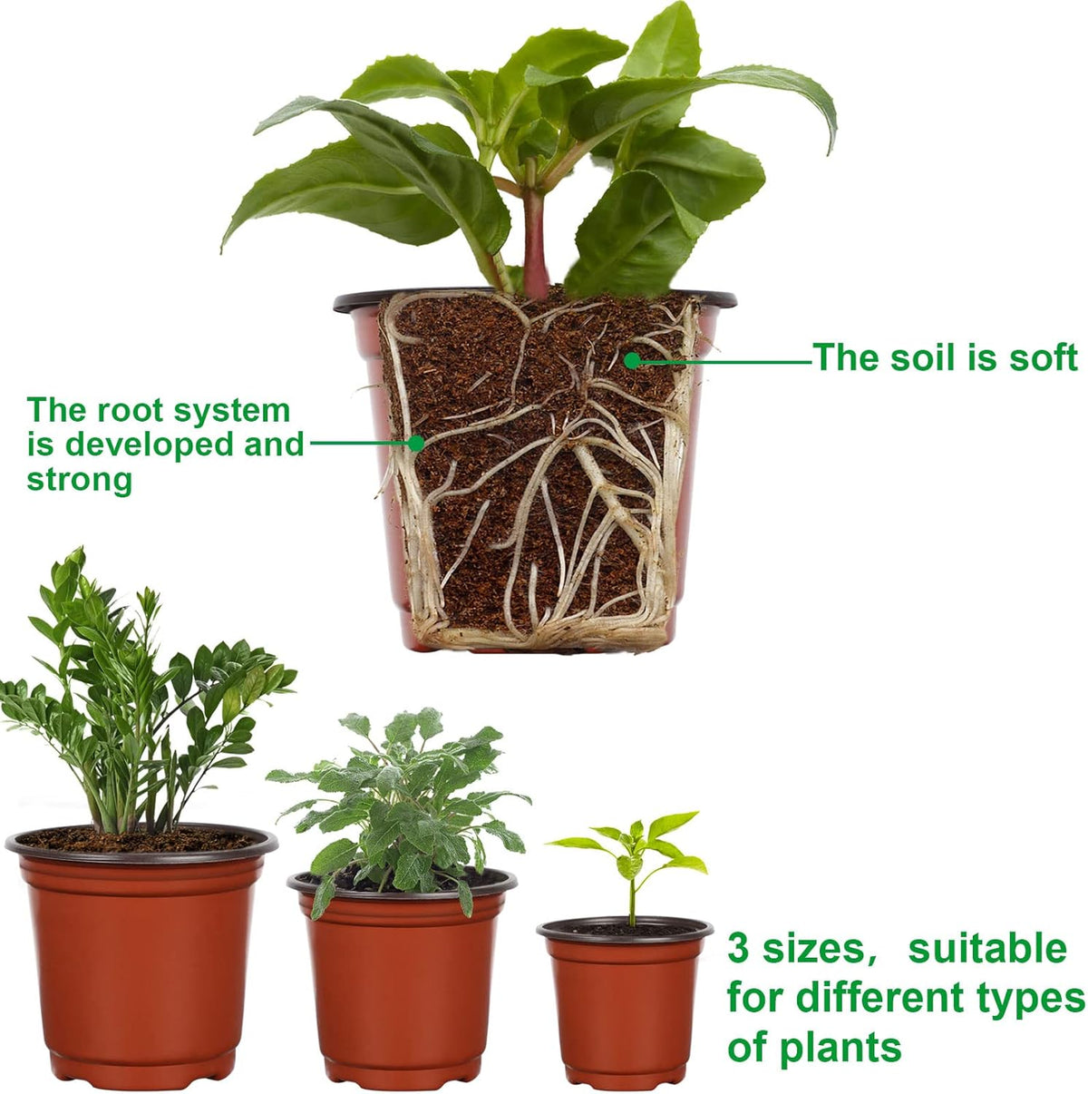Augshy Nursery Pot, 75 Pcs 4", 5", 6" Plastic Plant Nursery Seed Starting Pots for Indoor Outdoor