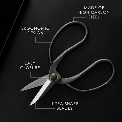 Professional Bonsai Butterfly Scissors | Pruning Shears for Trimming Plants | Japanese Gardening