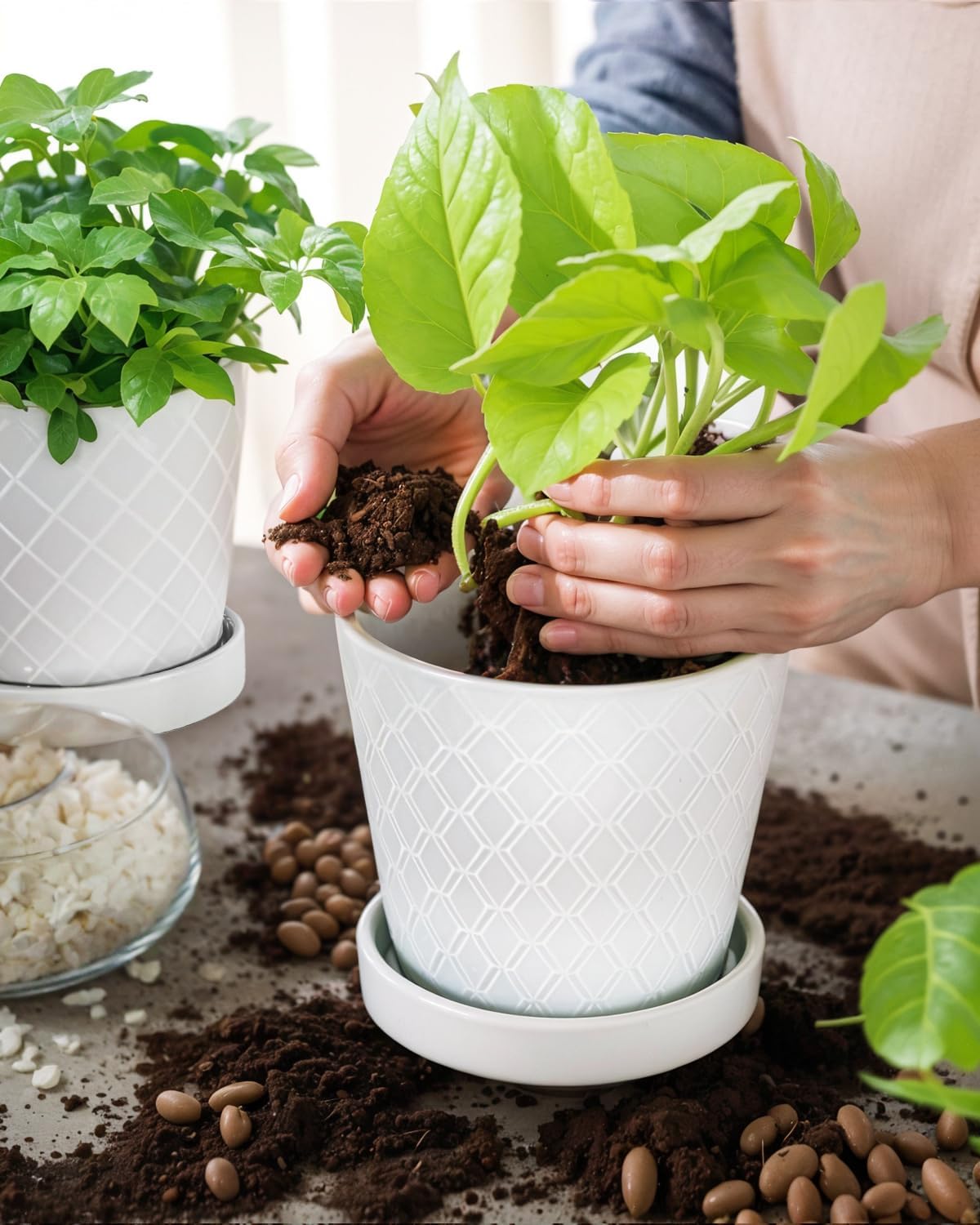 EFISPSS Flower Planter –5 inch Ceramic Plant Pots with Drainage Holes and Ceramic Tray - Gardening