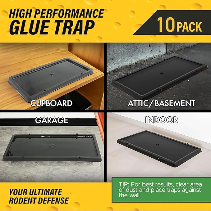 Glue Traps for Mice,Rat,Mouse,Snake,Lizard,Insect. 10 Pack. Extra Strength,Pre-Baited