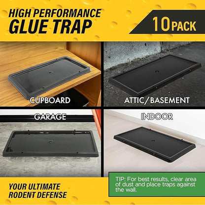 Glue Traps for Mice,Rat,Mouse,Snake,Lizard,Insect. 10 Pack. Extra Strength,Pre-Baited