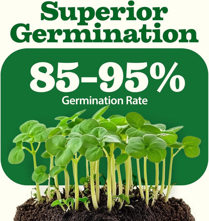 32 Heirloom Vegetable and Fruit Seeds for Planting - 16,000+ Seeds | Non-GMO Survival Seed Vault |