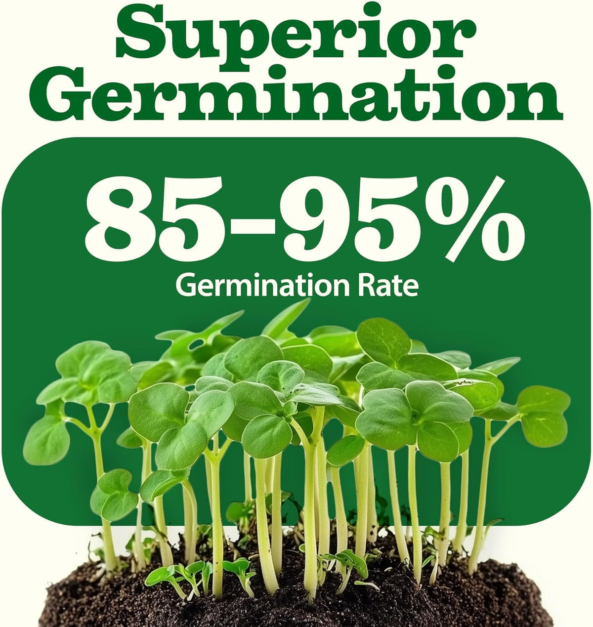 HOME GROWN 𝗨𝗦𝗔 𝗣𝗥𝗘𝗠𝗜𝗨𝗠 55 Vegetable Seeds Pack 28,000+ Non-GMO Heirloom Seeds for