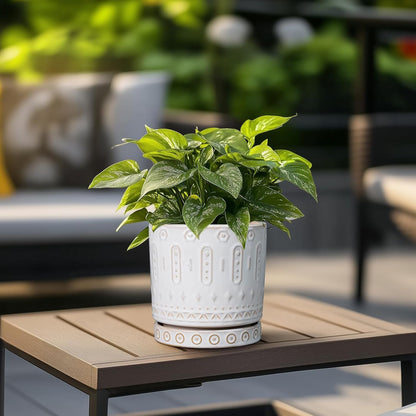 Pot for Plants 6 Inch - Ceramic Planter for Indoor Plants Decorative Plant Pot with Drainage Holes