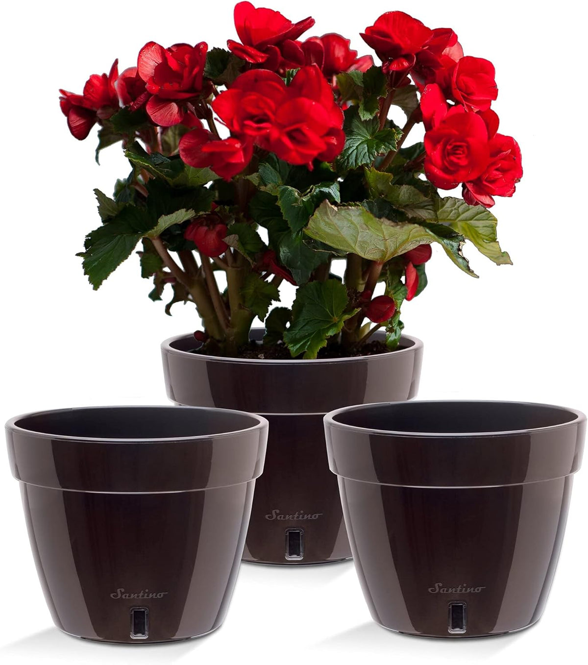 Santino AST 7.9 Inch Self Watering Planter Black-Gold/Black - Set of 3 for Indoor Plants - Premium