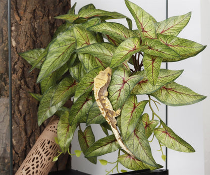 Reptile Plants for Terrarium, Amphibian Habitat Decor Artificial Hanging Plants with Suction Cup