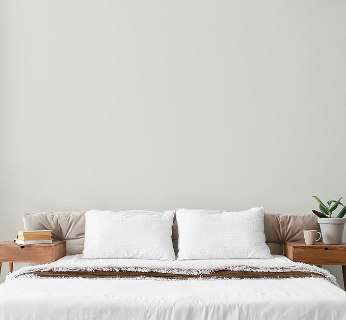 EVOLVE Paint & Primer: Environment-friendly, Low Sheen with One-coat Coverage for Interior &