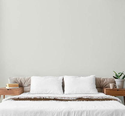 EVOLVE Paint & Primer: Environment-friendly, Low Sheen with One-coat Coverage for Interior &
