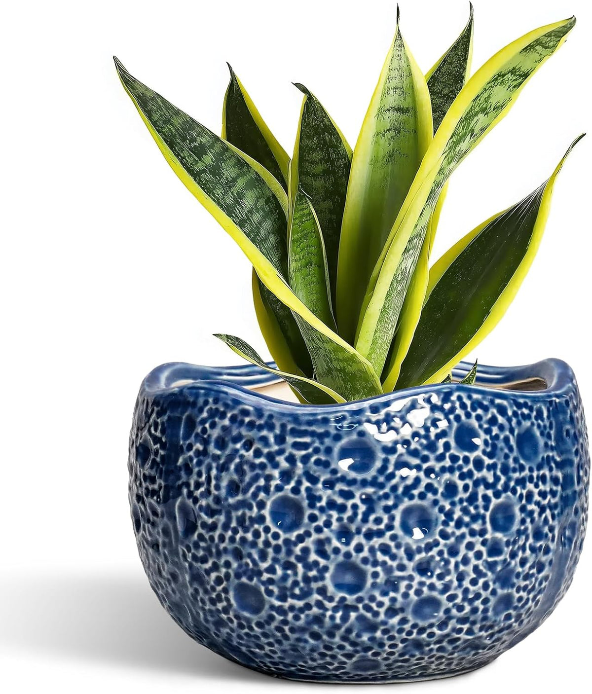 Ceramic Pots for Plants - 8 Inch Round Planter with Drainage Hole, Round Decorative Plant Pots for