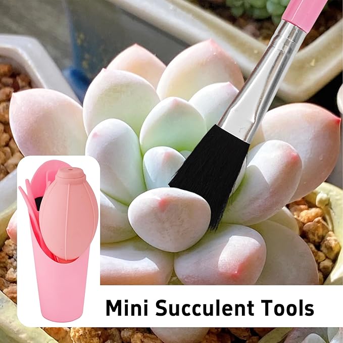 6Pcs Mini Succulent Tools Set, Garden Hand Tools Kit for Indoor Plant Care, Succulent Bonsai