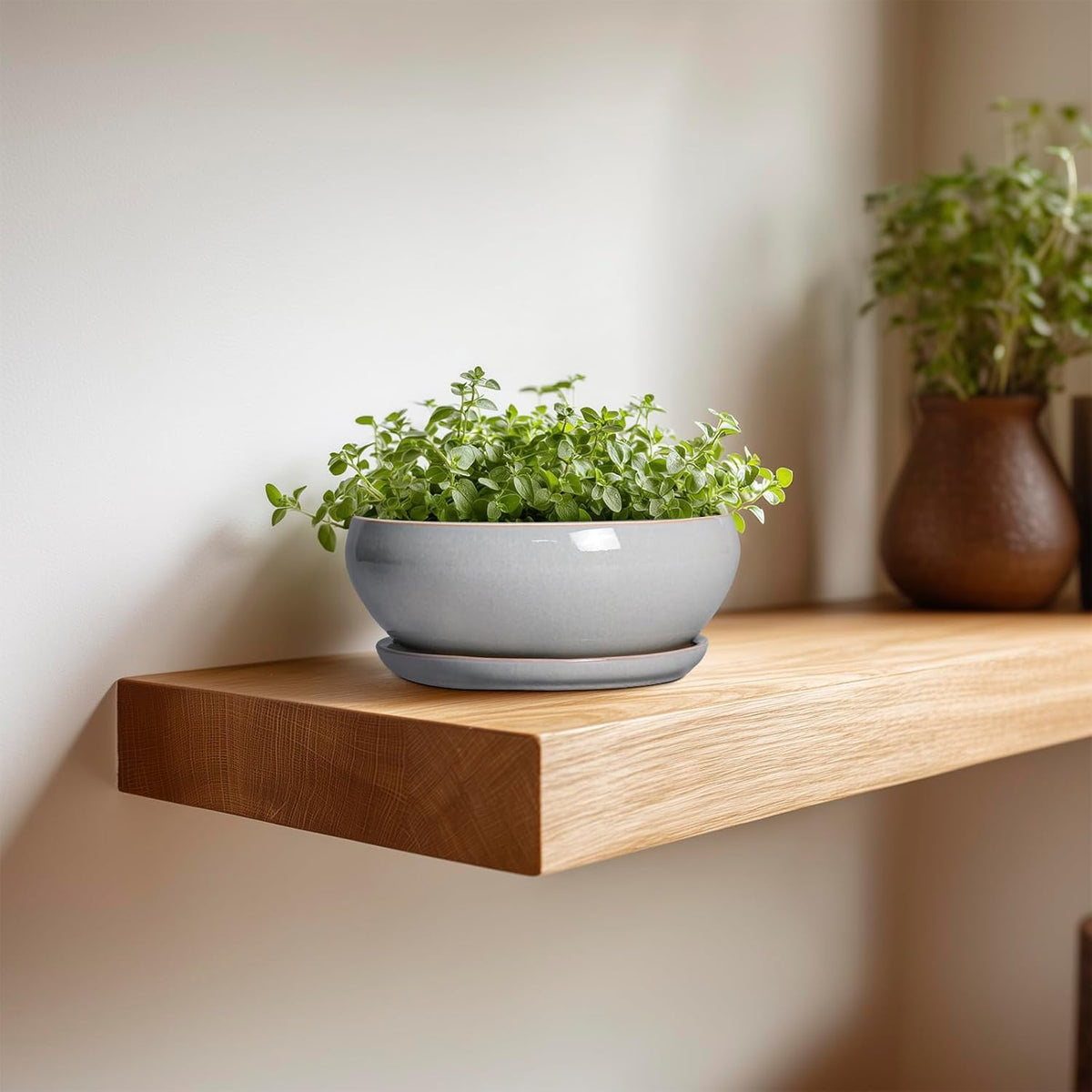 SQOWL Succulent Planters 6 Inch - Ceramic Bonsai Pots with Drainage Hole and Saucer, Shallow