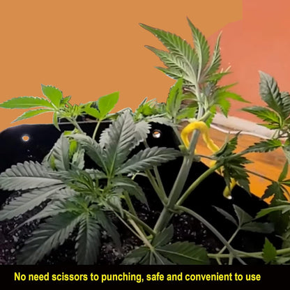 3 Gallon Fabric Pots with Holes 5 Packs with Handles Plant Grow Bags