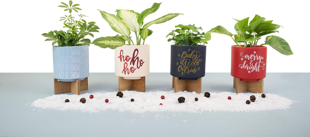 Ceramic Holiday Planter Pot, Let it Snow Design, Powder Blue & White, Holds 4" House Plant or