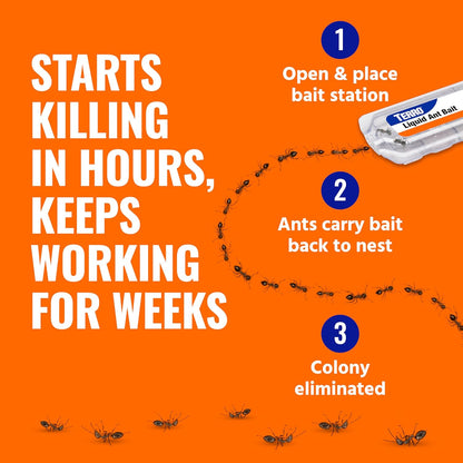 TERRO Ant Killer Bait Stations T300B - Liquid Bait to Eliminate Ants - Bait System - 12 Count