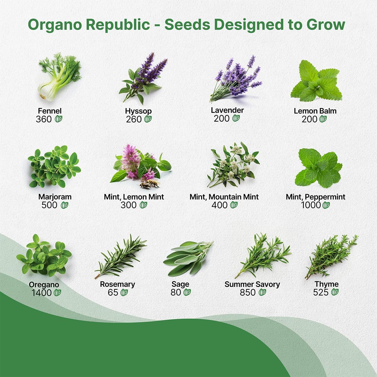 25 Most Popular Herb Seeds Variety Pack - 11,700 Non-GMO Heirloom Seeds for Planting Herbs in