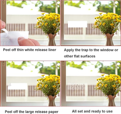 Mosqueda Window Fly Traps, 30 Pack Sticky Fly Traps for Indoors, Fly Catchers for Inside Home