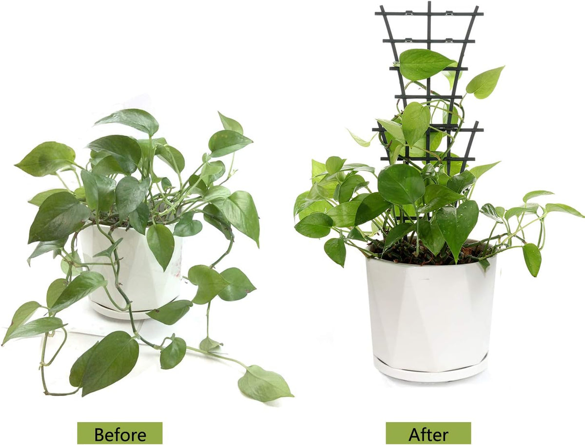 Plant Trellis Indoor, 6Pcs Stackable Plant Trellis for Climbing Plants Indoor, Small Plant Climbing