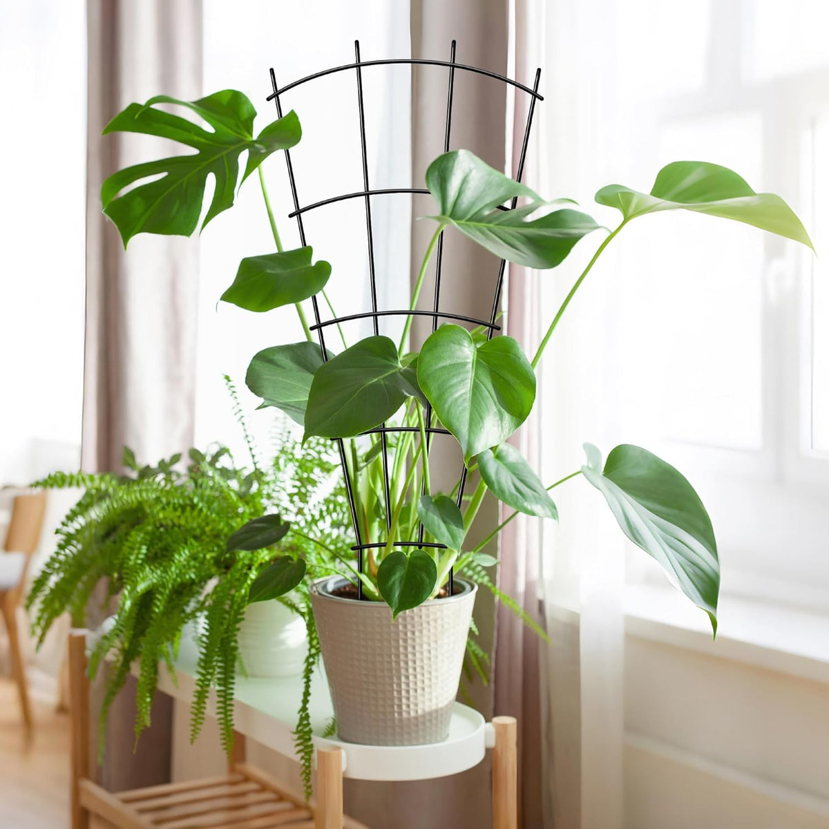 4 Pack 23'' Indoor Plant Trellis for Potted Plants Climbing, Outdoor Metal Garden Trellis