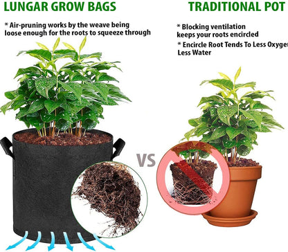 Plant Grow Bags 10 Gallon 5 Packs Planter Pot, Thickest Aeration 300G Non-Woven Fabric, Reinforced