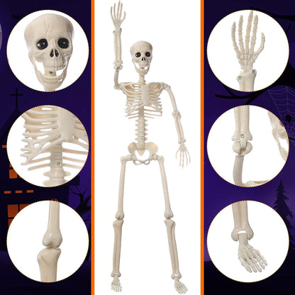 11 Pcs Halloween Skeleton Decorations Realistic Full Body Movable Joints Halloween Plastic Skeleton