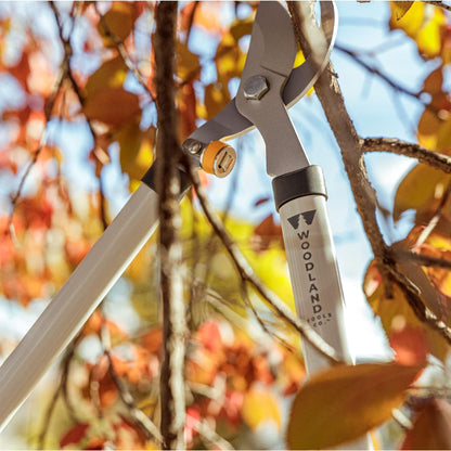 Woodland Tools Regular Duty Lopper – 28 Inch Manual Branch Cutter with Bypass Blade and Non Slip