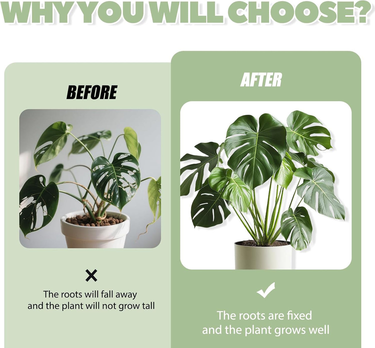 Monstera Plant Support, 16Pcs Plant Stem Support for Indoor Plants - Heavy Sturdy Climbing Plant