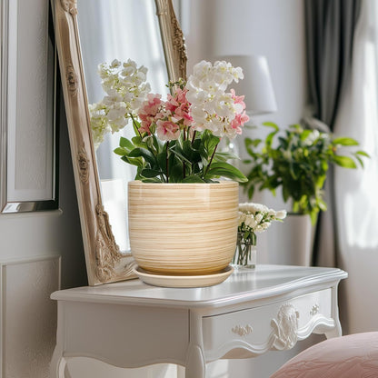 Indoor Plant Pot 8 Inch - Cylinder Modern Ceramic Planter for Indoor Outdoor Plants with Drainage