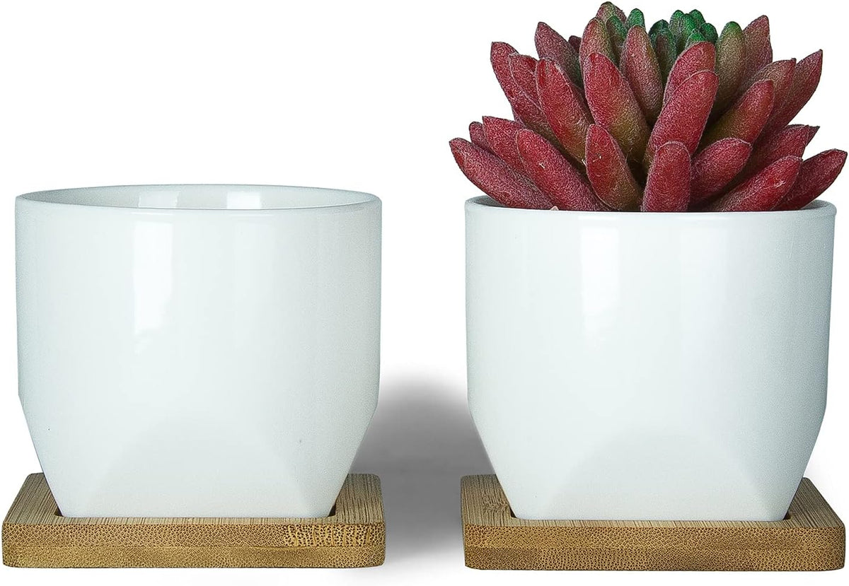 ARTKETTY Succulent Pots - 3 Inch Small Succulent Planter Pot with Drainage Trays Set of 6, Ceramic