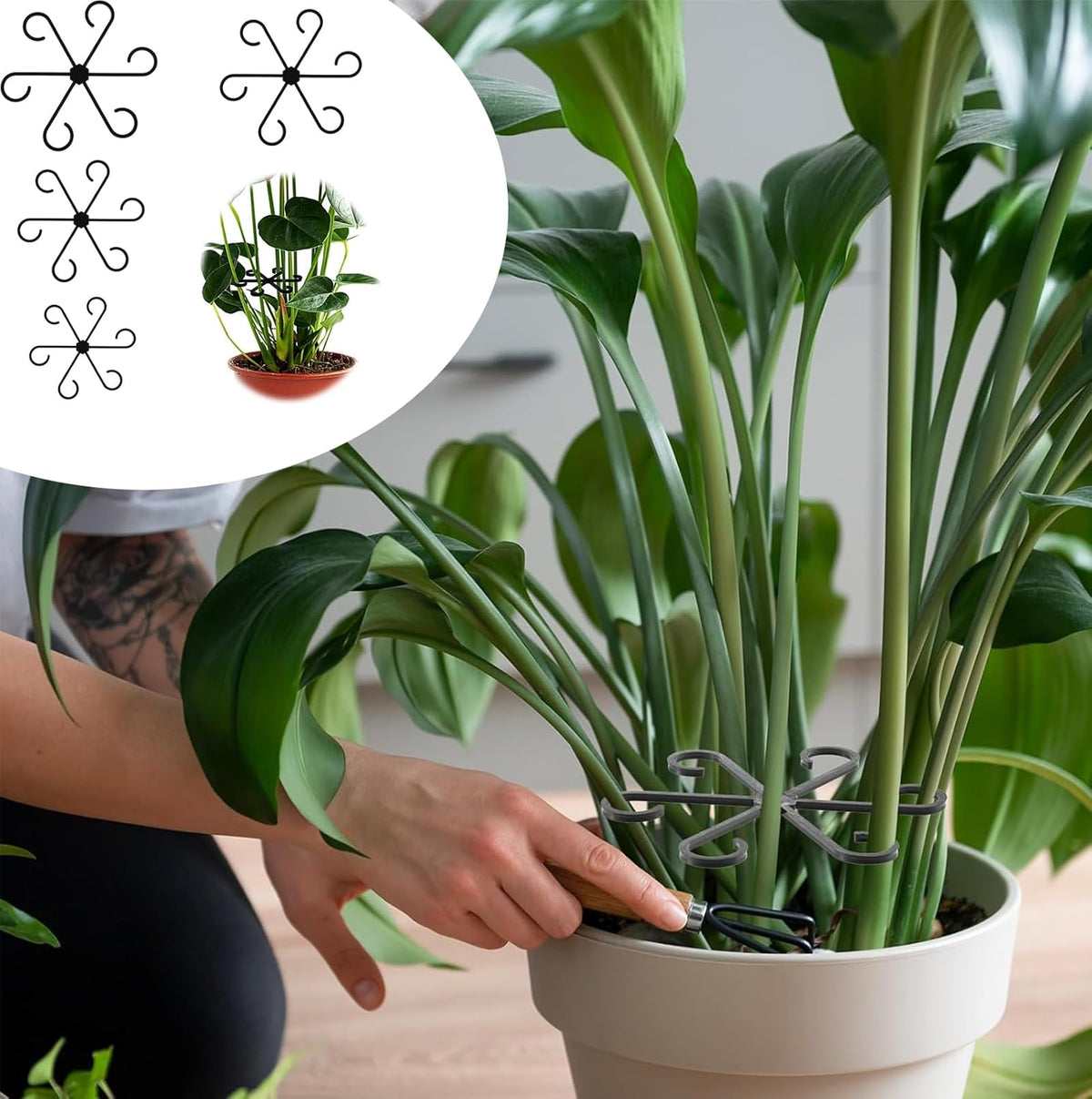 Reusable Plant Stem Supports for Indoor Plants - 4 Sizes, Durable Plastic Holders Easy Clip Hooks