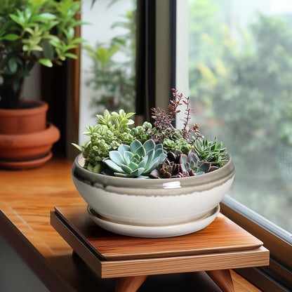 SQOWL Bonsai Tree Pots - 8 Inch Ceramic Succulent Pots with Drainage Hole and Saucer, Shallow Round