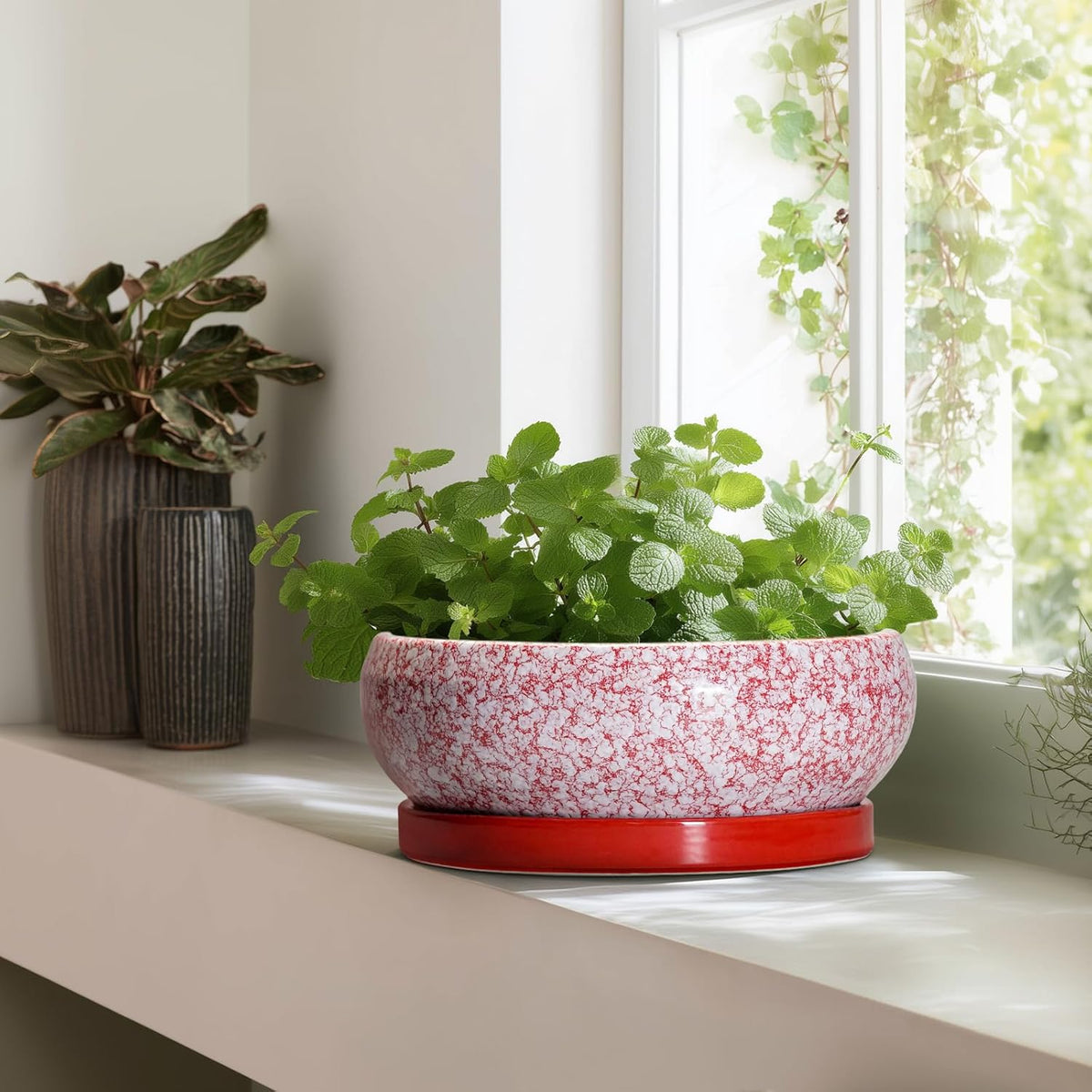 Bonsai Tree Pots 13 Inch - Ceramic Bonsai Pots with Drainage Hole and Tray, Large Succulent