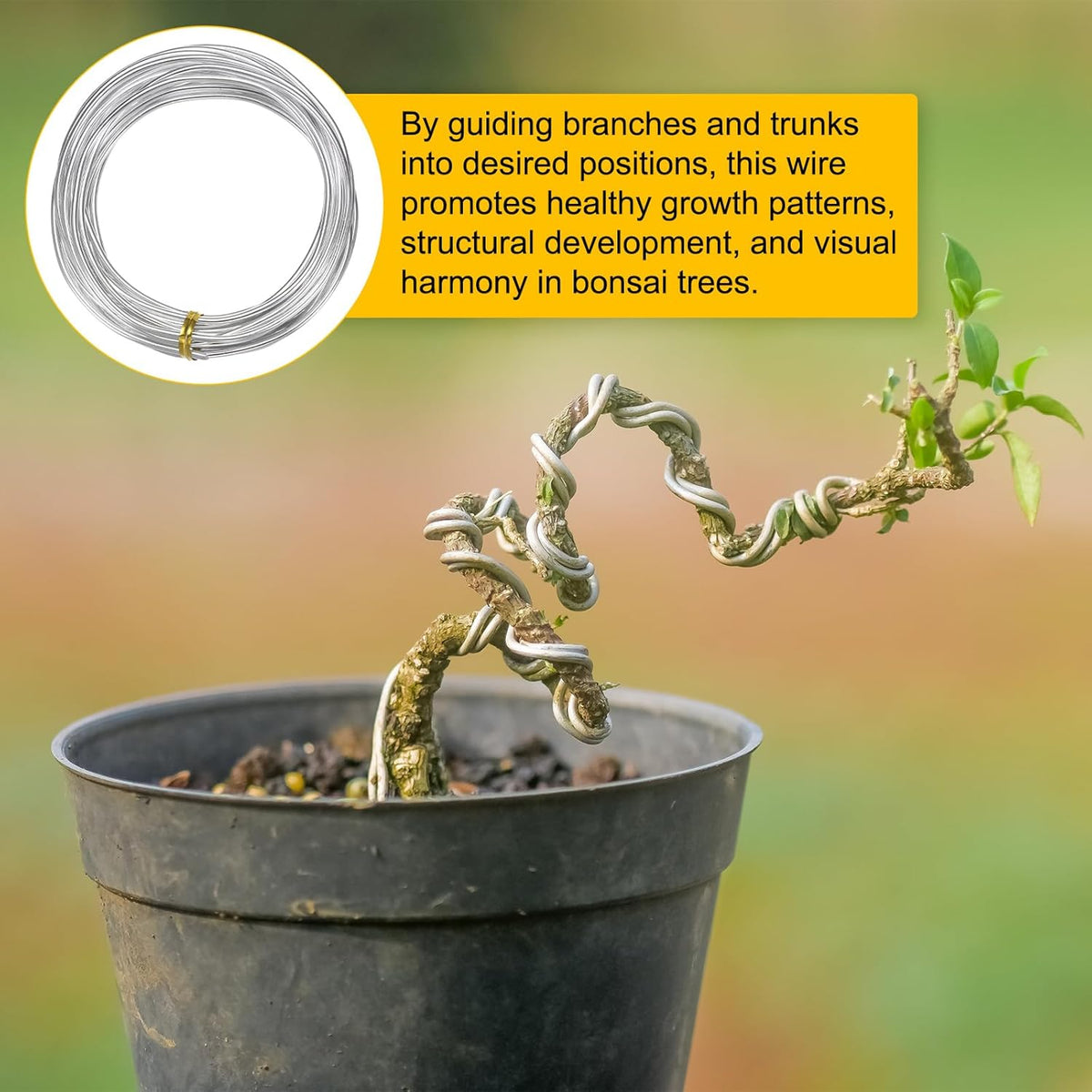 2.5mm Bonsai Training Wire, 16.4 Feet Total Anodized Aluminum Bonsai Wires for Bonsai Tree