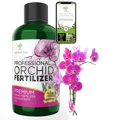 Professional Liquid Indoor Orchid Fertilizer | 3-1-2 Concentrate for Plants and Flowers |