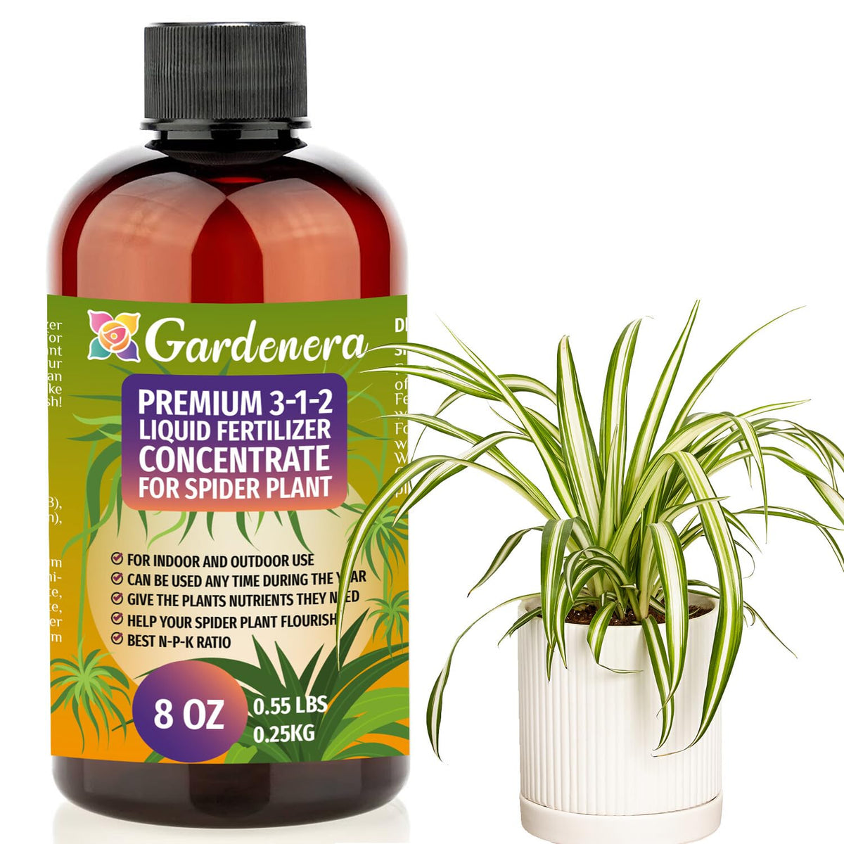 Premium Liquid Spider Plant Fertilizer - 3-1-2 Concentrate for Indoor Plants and Flowers by