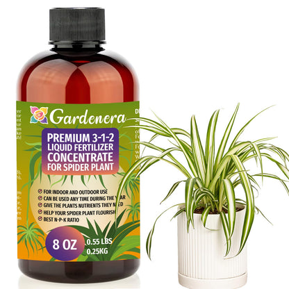 Premium Liquid Spider Plant Fertilizer - 3-1-2 Concentrate for Indoor Plants and Flowers by