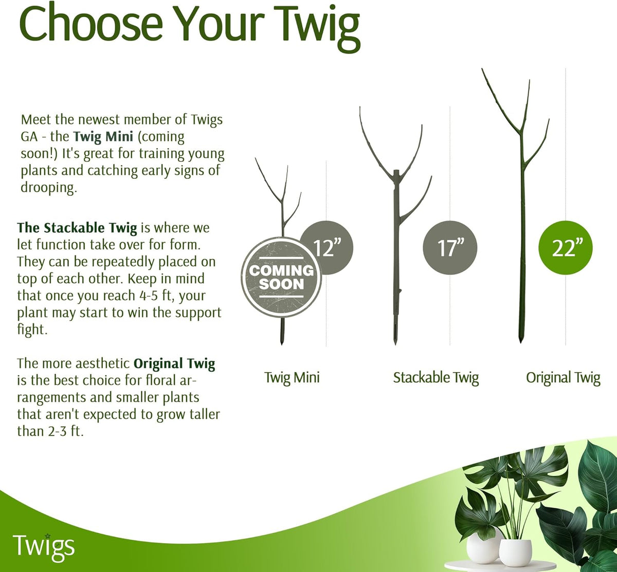 Plant Support Stakes, Stem Holder Structures for Indoor & Outdoor Use, Garden Accessories for