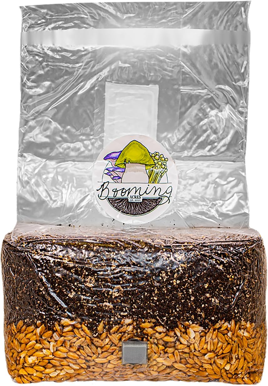 | The Magical 5lb All-in-One Mushroom Grow Bag | Mushroom Grow Kit | Harvest Your own Happiness |