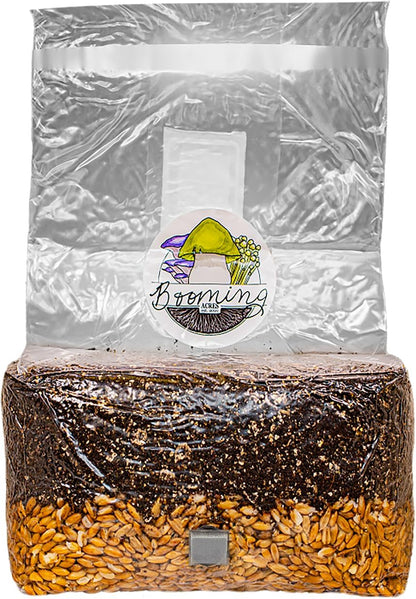 | The Magical 5lb All-in-One Mushroom Grow Bag | Mushroom Grow Kit | Harvest Your own Happiness |