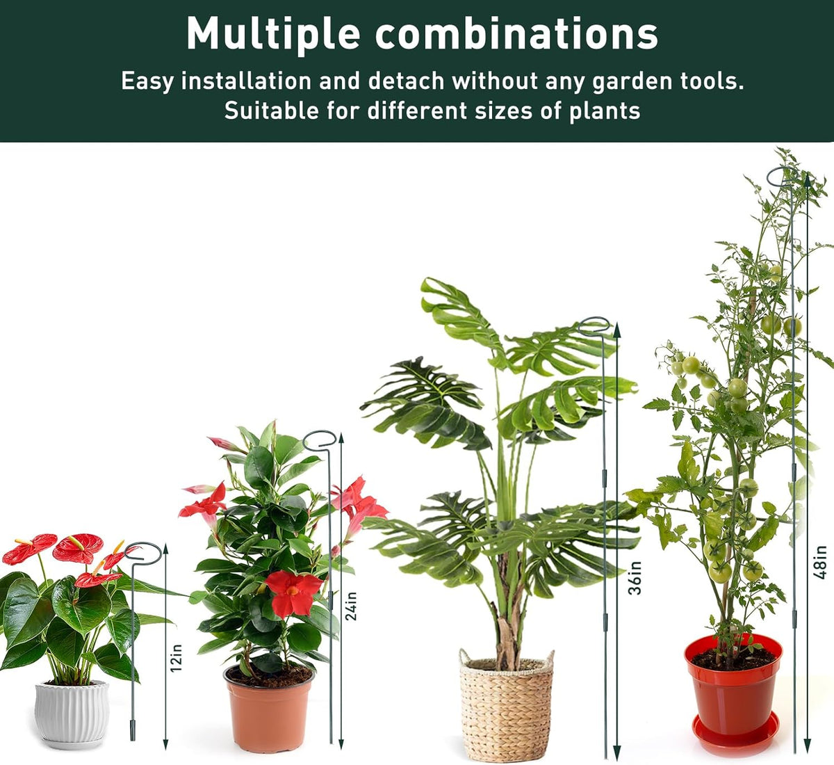 4 Set Metal Plant Sticks Support Tall 48 Inch Adjustable Plants Stem Support Rod Amaryllis Holder