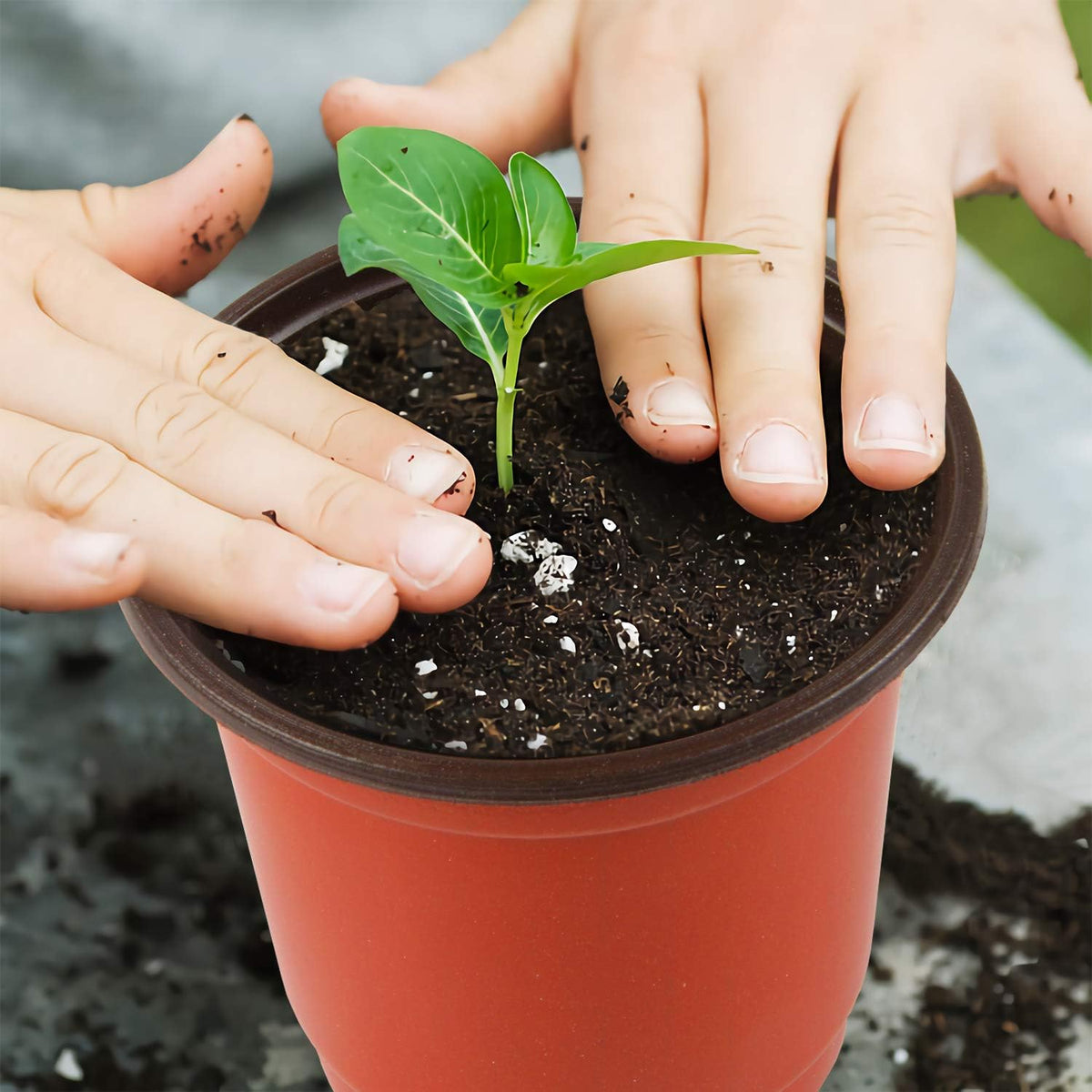 Augshy 150 Pcs 4" Plastic Plants Nursery Pot, Seed Starting Pots for Succulent Seedling Cutting