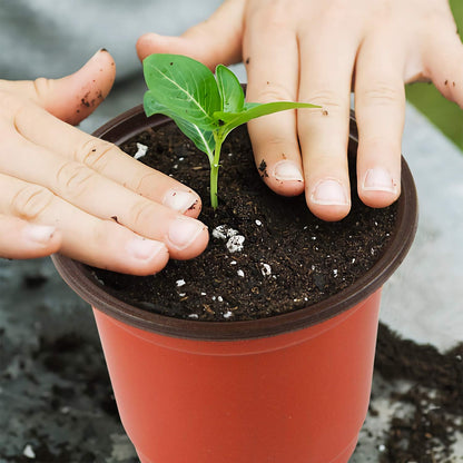 Augshy 150 Pcs 4" Plastic Plants Nursery Pot, Seed Starting Pots for Succulent Seedling Cutting