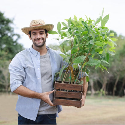 6 Pack Plant Support Plant Stakes for Indoor and Outdoor Plants, 44.8” Plant Sticks with Plant