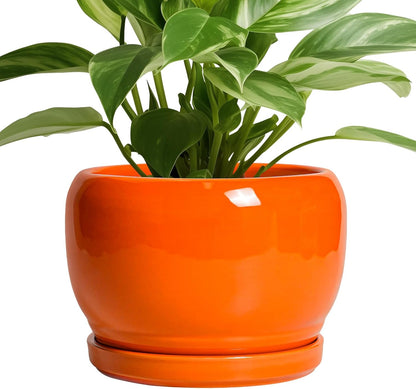 SQOWL Ceramic Pot for Plants - 8 Inch Plant Pot Indoor Outdoor, Modern Round Planter with Drainage