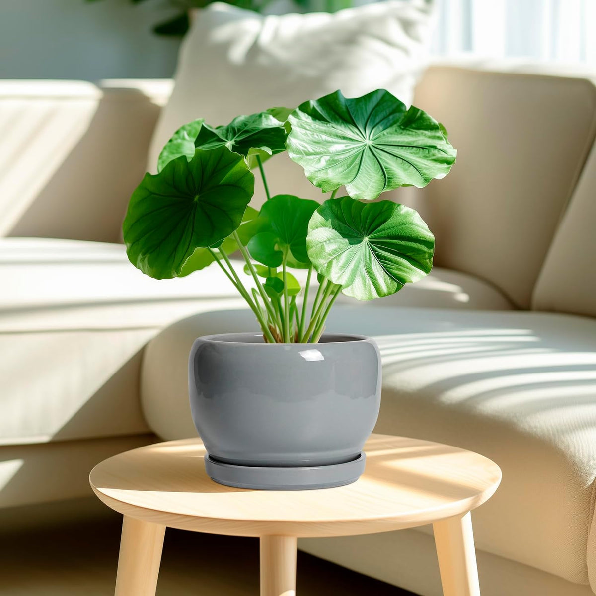 SQOWL Ceramic Pot for Plants - 8 Inch Plant Pot Indoor with Drainage Hole and Saucer, Round Planter